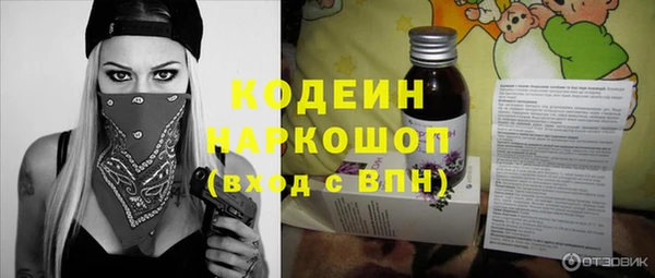 молекула духа Волоколамск