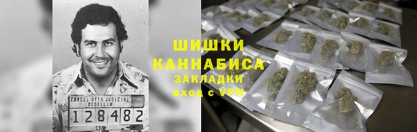 молекула духа Волоколамск