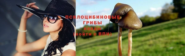 бошки Володарск