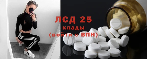 молекула духа Волоколамск