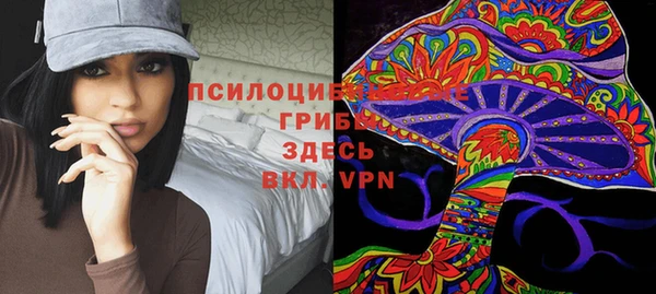 молекула духа Волоколамск