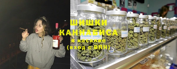 молекула духа Волоколамск