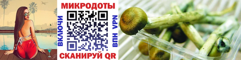 Галлюциногенные грибы GOLDEN TEACHER Павловский Посад