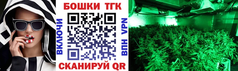 что такое наркотик  Павловский Посад  Шишки марихуана планчик 